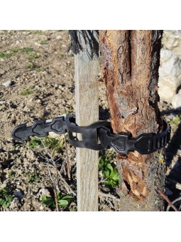 BRIDA DE SUJECCIÓN ÁRBOLES.