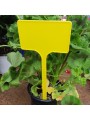 PINCHO SEÑALIZACIÓN PLANTAS