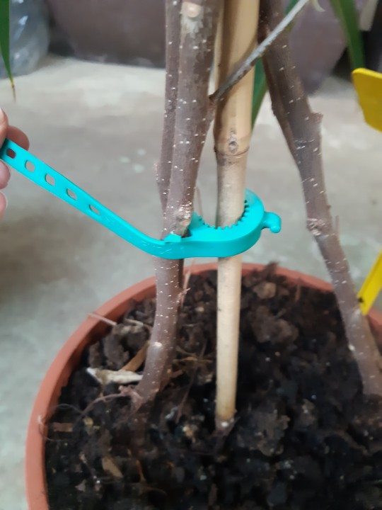 BRIDA  ELÁSTICA 30 CM LARGA. 100 UD