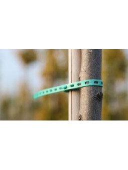 BRIDA  ELÁSTICA 30 CM LARGA. 100 UD