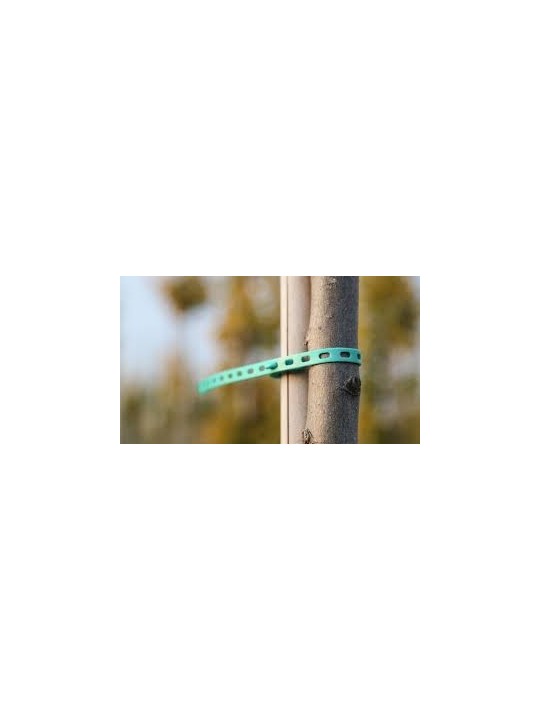 BRIDA  ELÁSTICA 30 CM LARGA. 100 UD