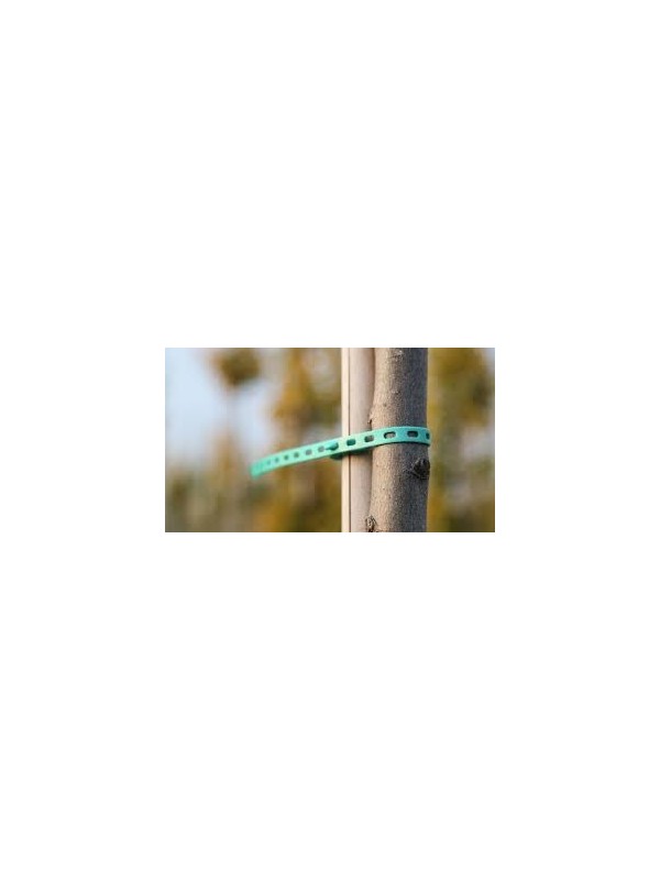 BRIDA  ELÁSTICA 30 CM LARGA. 100 UD