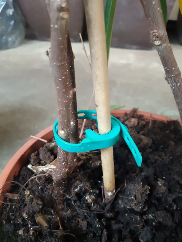 BRIDA  ELÁSTICA 30 CM LARGA. 100 UD