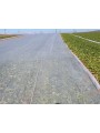 MALLA TÉRMICA 2X200M