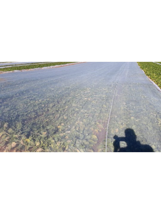 MALLA TÉRMICA 2X200M