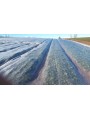MALLA TÉRMICA 2X200M