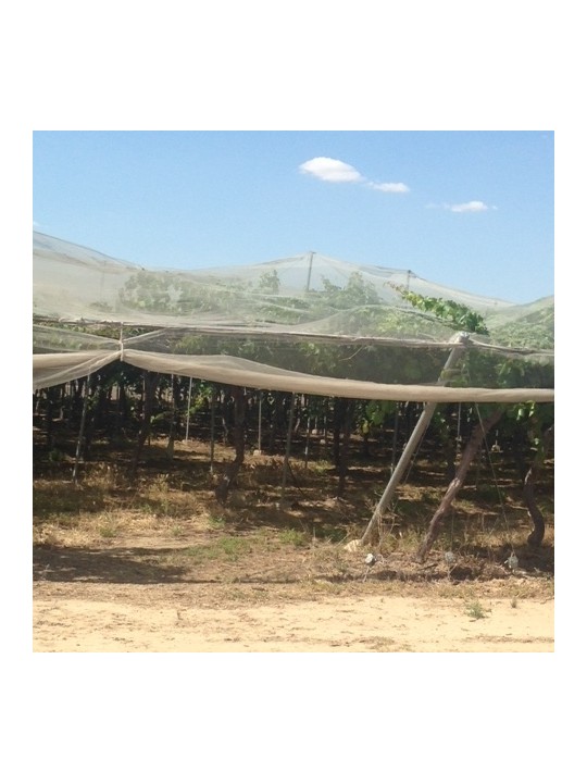 MALLA MOSQUITERA 6X8 M