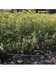 SOPORTE PLANTAS BIOCOMPOSTABLE