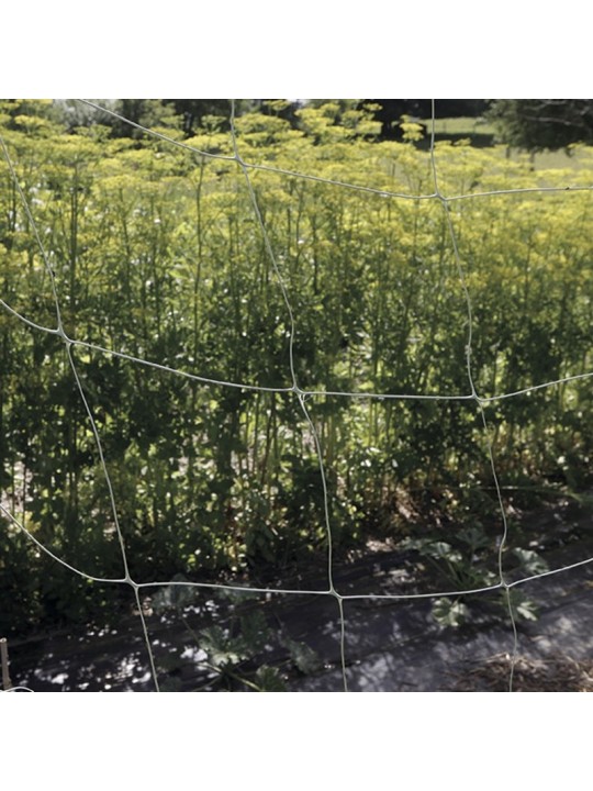 SOPORTE PLANTAS BIOCOMPOSTABLE