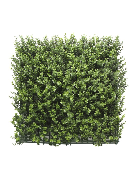 JARDIN VERTICAL BUXUS PACK 4 PIEZAS 50X50CM