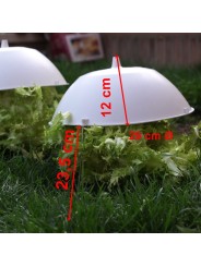 Tapa para escarola de 29,5 cm. de diámetro. Venta desde 1 unidad
