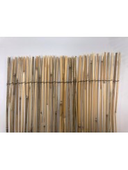 BAMBÚ FINO OCULTACIÓN REED CANE