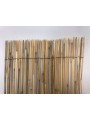 BAMBÚ FINO OCULTACIÓN REED CANE