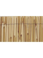 BAMBÚ FINO OCULTACIÓN REED CANE