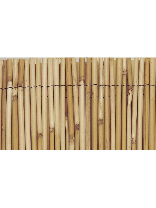 BAMBÚ FINO OCULTACIÓN REED CANE