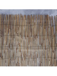 BAMBÚ FINO OCULTACIÓN REED CANE