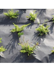 GEOTEXTIL PLANTEX GOLD 125 GR. ROLLOS