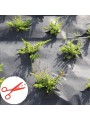 GEOTEXTIL PLANTEX GOLD 125 GR.AL CORTE