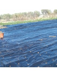 ACOLCHADO NEGRO CEBOLLAS .1X300 m