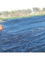 ACOLCHADO NEGRO CEBOLLAS .1X300 m
