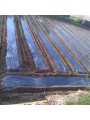 ACOLCHADO MICROPERF.NEGRO G-150 1,20