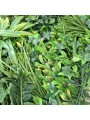 JARDIN VERTICAL TROPICAL 1X1m.