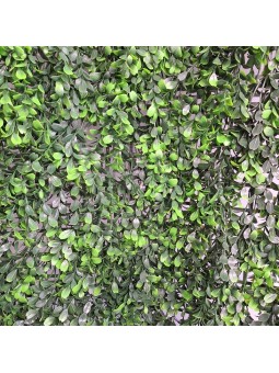 JARDIN VERTICAL BUXUS 1x1 m