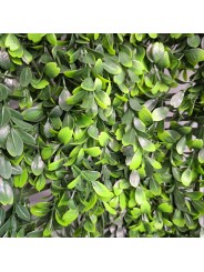 JARDIN VERTICAL BUXUS 1x1 m
