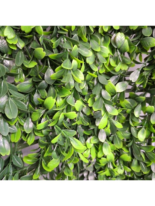 JARDIN VERTICAL BUXUS 1x1 m