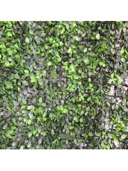 JARDIN VERTICAL BUXUS 1x1 m