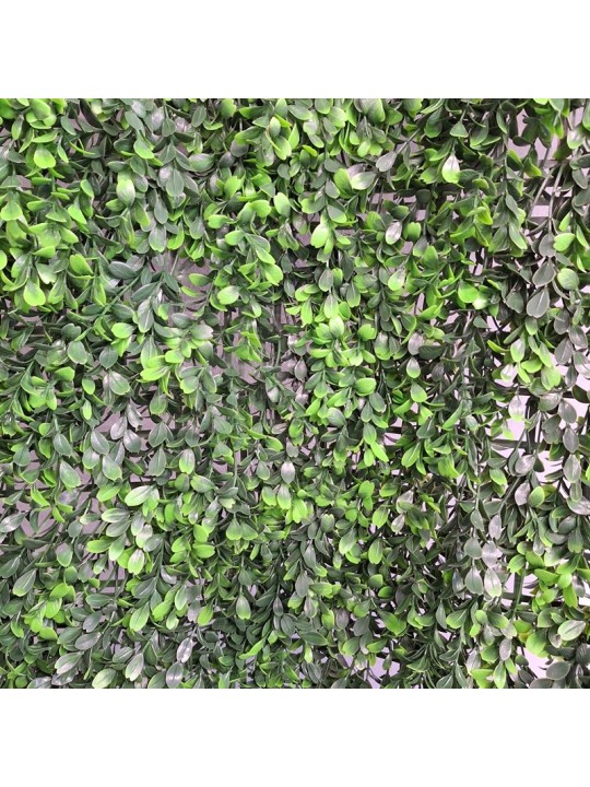 JARDIN VERTICAL BUXUS 1x1 m