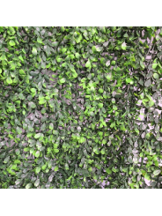 JARDIN VERTICAL BUXUS 1x1 m