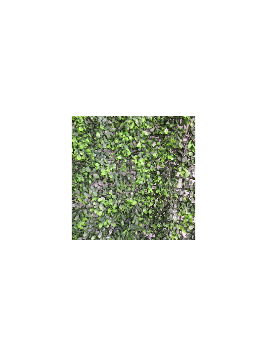 JARDIN VERTICAL BUXUS 1x1 m