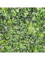 JARDIN VERTICAL JAZMIN 1X1 M