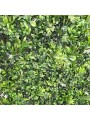 JARDIN VERTICAL JAZMIN 1X1 M