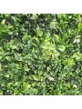 JARDIN VERTICAL JAZMIN 1X1 M