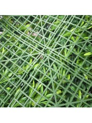 JARDIN VERTICAL JAZMIN 1X1 M
