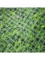 JARDIN VERTICAL JAZMIN 1X1 M