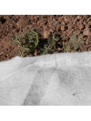 GEOTEXTIL POLIESTER ANTIPUNZINANTE 120 GRM ROLLO