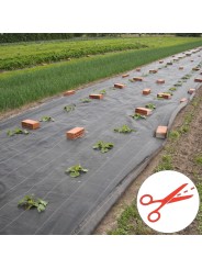 MALLA ANTIHIERBA NEGRA 130 GRMS ROLLO 2,10X100 M