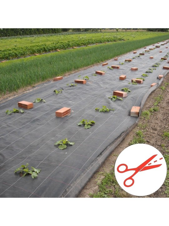 MALLA ANTIHIERBA NEGRA 130 GRMS ROLLO 2,10X100 M