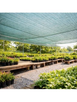 Malla de Sombreo Verde 45% 2x100 m | Rollo Profesional