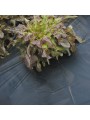 ACOLCHADO MICROPERFORADO.ROLLO DE 1,20X700