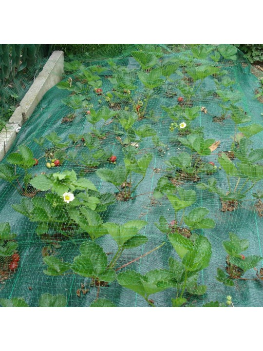 RED ANTIPAJAROS ORTOFLEX VERDE LUZ 8x10 mm