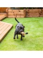 CESPED 30 MM ABERDEEN. ROLLO 2X4 M