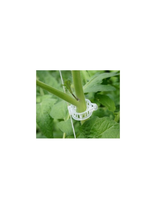 CLIP TOMATE 23 MM