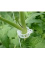 CLIP TOMATE 23 MM