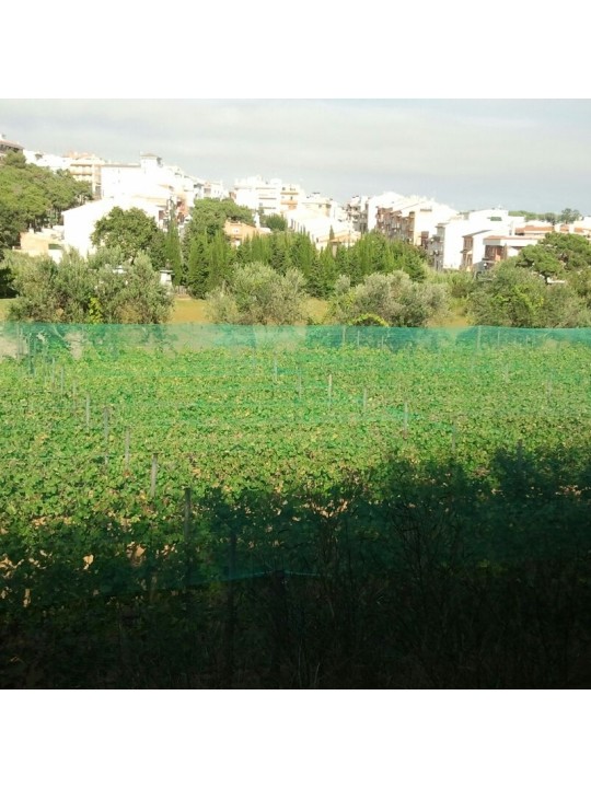 ANTIPAJAROS TJIDA LUZ DE MALLA 25X25