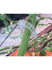 CLIP TOMATE 23 MM