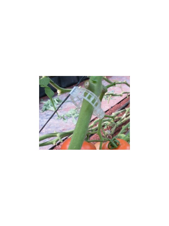 CLIP TOMATE 23 MM